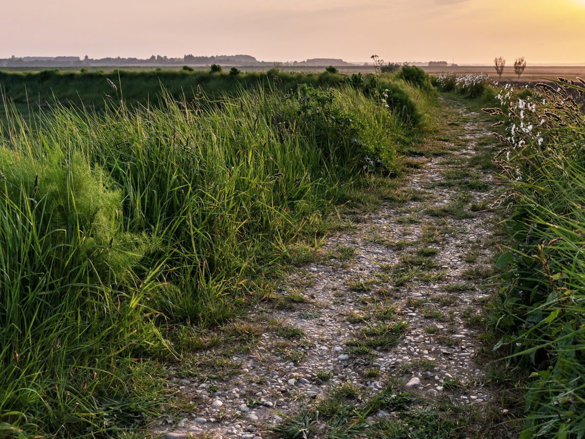 walking path in fields of aldeburgh suffolk
