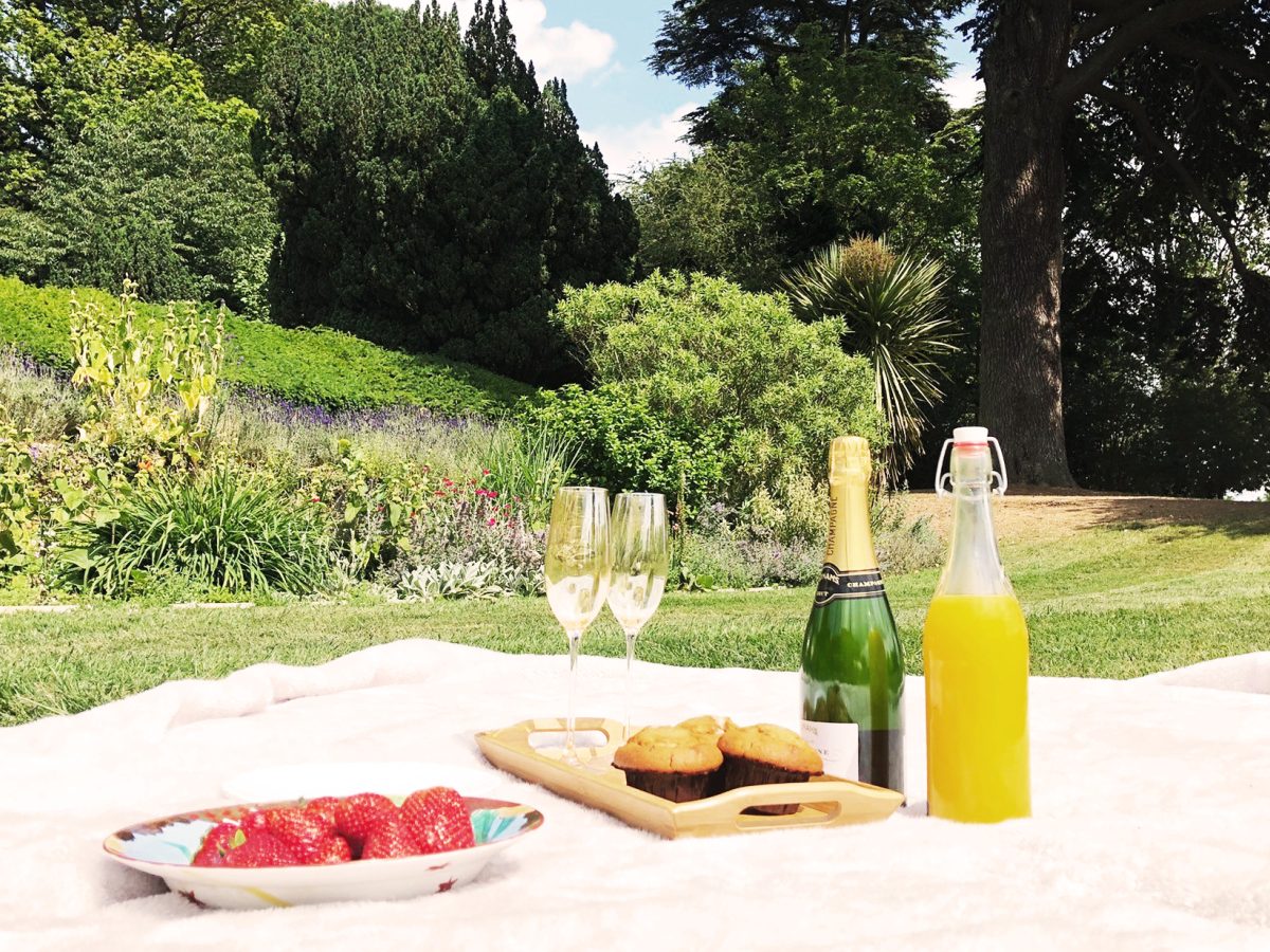 champagne and strawberries outdoors in framlingham suffolk