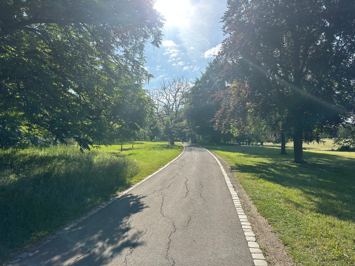 pathway in suffolk sunshine